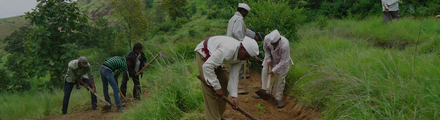 Approach Adopted For Change