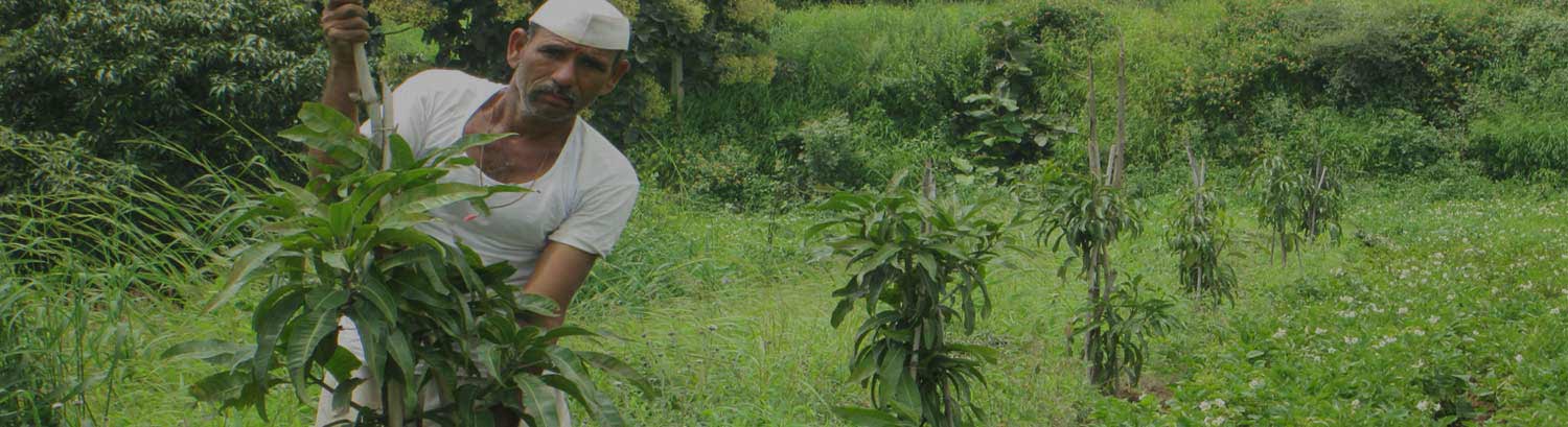 Consistent Efforts Go a Long Way