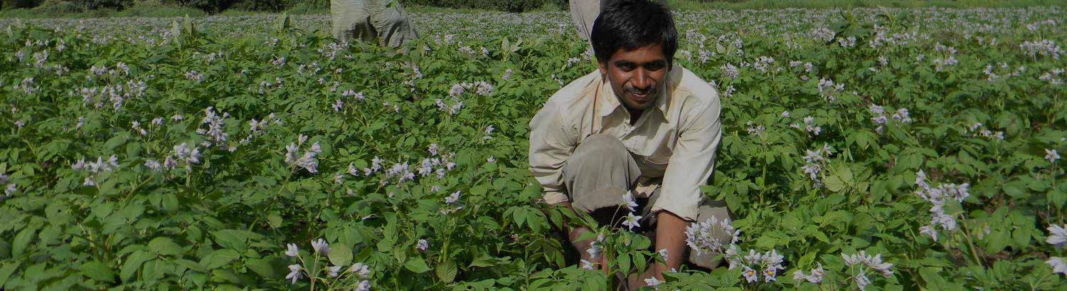 Fresh and Blooming – Present Buchkewadi