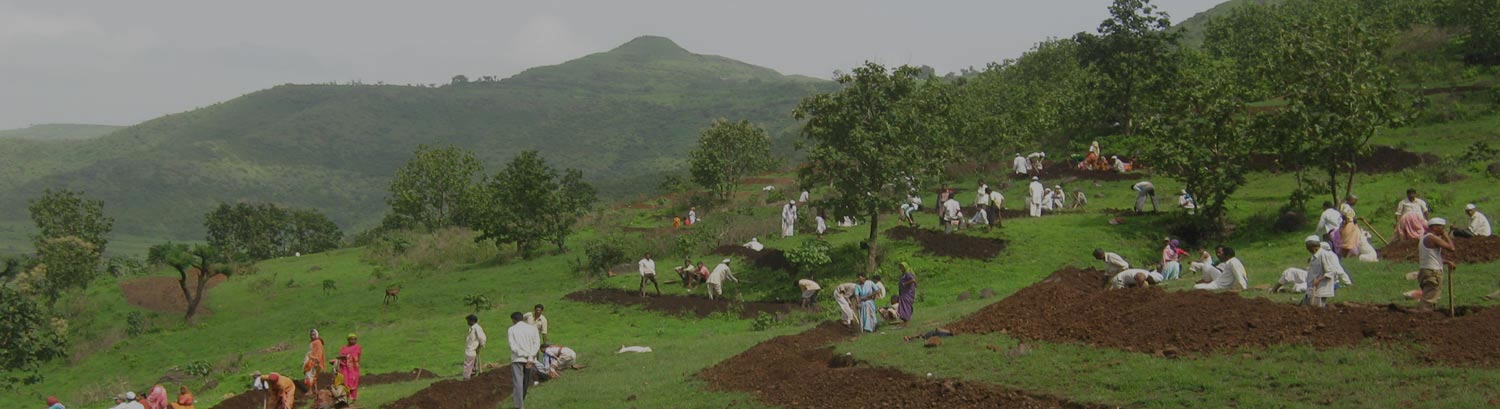 Tireless toil goes a long way