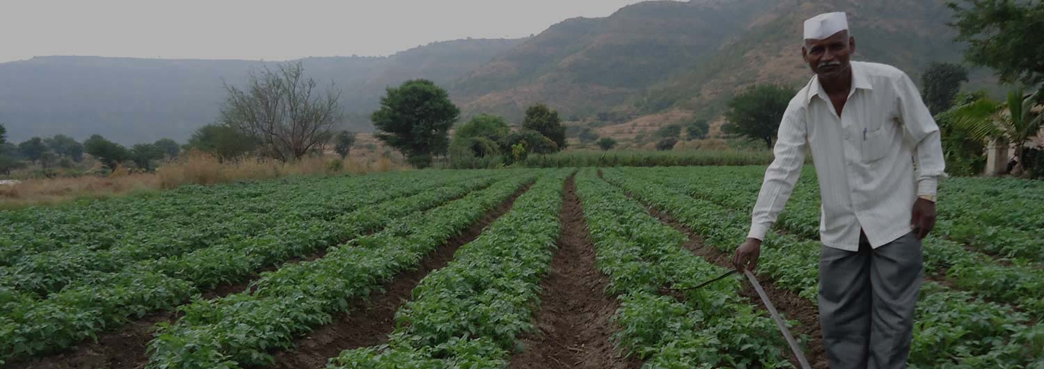 Where Tradition and Technology Go Hand-In-Hand